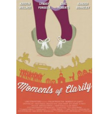 Моменты ясности (2016)