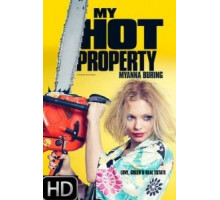 Моя ценная квартира (2016)