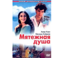 Мятежная душа (1999)