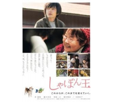 Мыльный пузырь (2017)