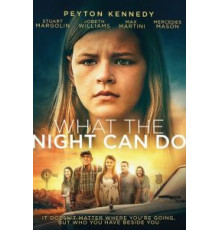 На что способна ночь (2017)