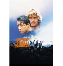 На гребне волны (1991)