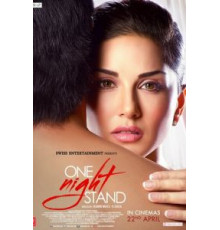 На одну ночь (2016)