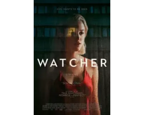 Наблюдающий  (фильм 2022) смотреть онлайн