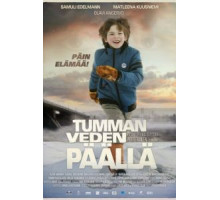 Над темными водами (2013)