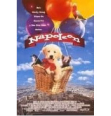 Наполеон (1995)