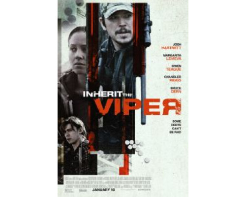 Наследие гадюки  (фильм 2019) смотреть онлайн