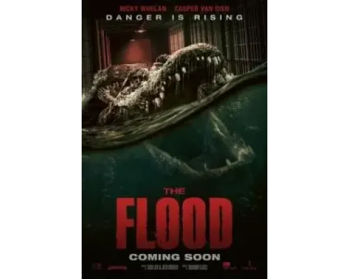 Наводнение  (фильм 2023) смотреть онлайн