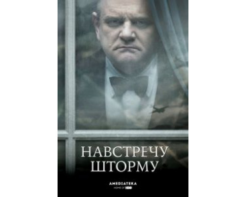Навстречу шторму  (фильм 2009) смотреть онлайн