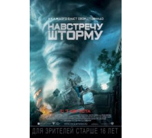 Навстречу шторму (2014)