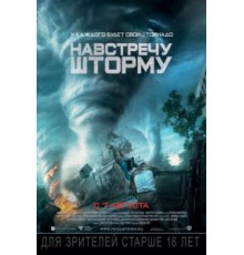 Навстречу шторму (2014)