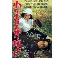 Не сожалею о своей юности (1946)