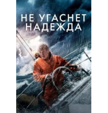 Не угаснет надежда (2013)