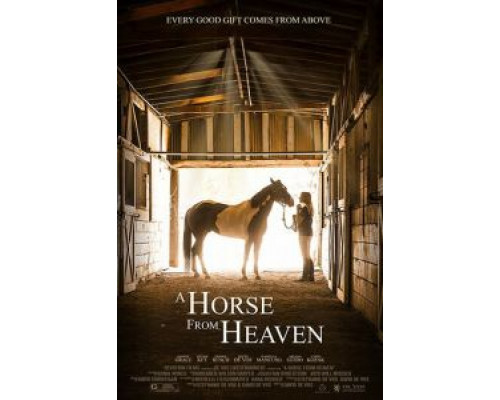 Небесный конь  (фильм 2018) смотреть онлайн