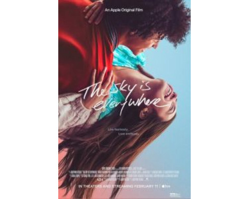 Небо повсюду  (фильм 2022) смотреть онлайн
