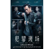 Неожиданный свидетель (2019)