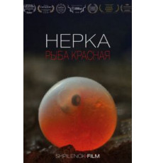 Нерка. Рыба красная (2020)