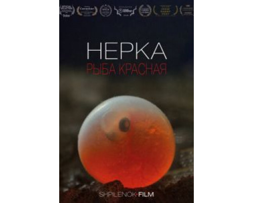 Нерка. Рыба красная  (фильм 2020) смотреть онлайн