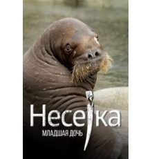 Несейка. Младшая дочь (2018)