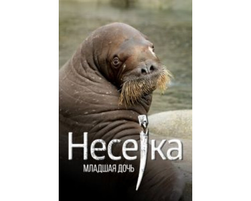 Несейка. Младшая дочь  (фильм 2018) смотреть онлайн