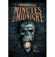 Несколько минут после полуночи (2016)