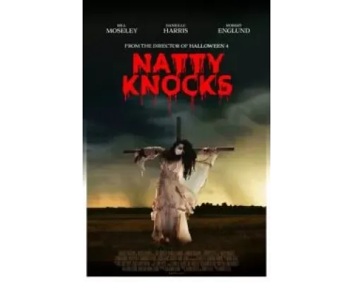 Нэтти Нокс  (фильм 2023) смотреть онлайн