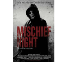 Неудачная ночь (2013)