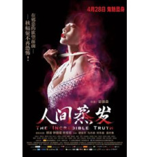 Невероятная правда (2013)
