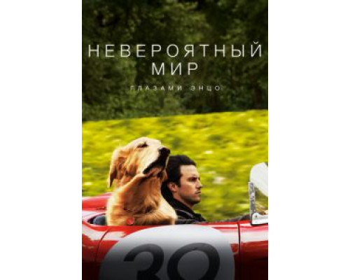 Невероятный мир глазами Энцо  (фильм 2019) смотреть онлайн