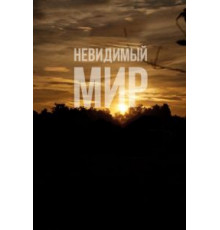 Невидимый мир (2012)