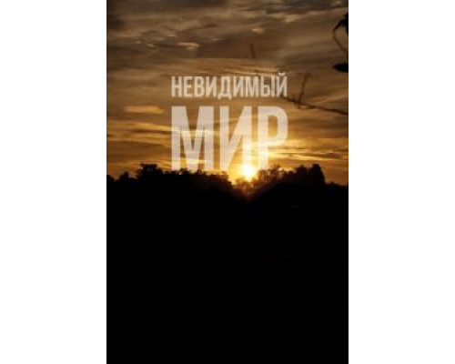Невидимый мир  (фильм 2012) смотреть онлайн