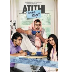 Незваный гость (2010)
