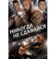 Никогда не сдавайся 3 (2016)