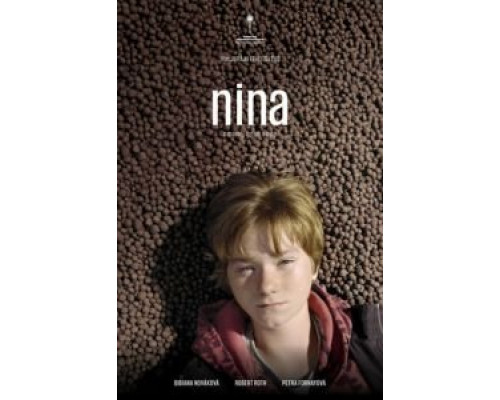 Нина  (фильм 2017) смотреть онлайн