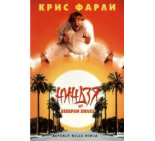 Ниндзя из Беверли Хиллз (1997)