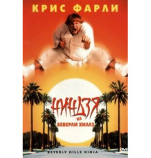Ниндзя из Беверли Хиллз (1997)