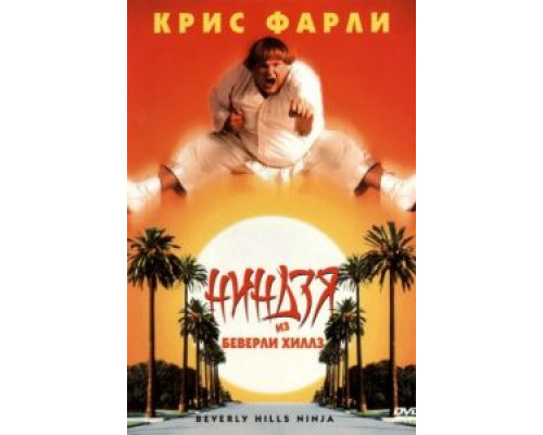 Ниндзя из Беверли Хиллз  (фильм 1997) смотреть онлайн