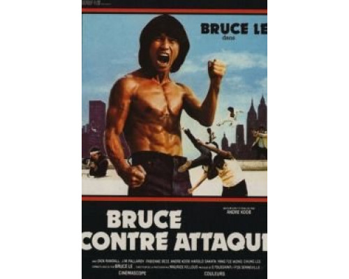 Ниндзя наносит ответный удар  (фильм 1982) смотреть онлайн