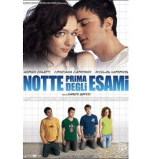 Ночь накануне экзаменов (2006)