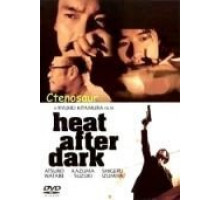 Ночная схватка (1996)