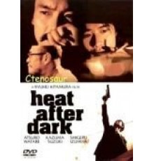 Ночная схватка (1996)