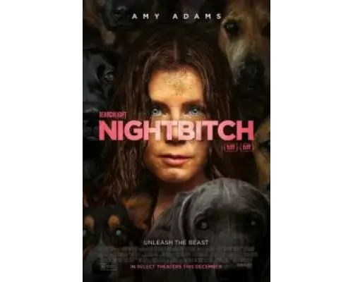 Ночная сучка  (фильм 2024) смотреть онлайн