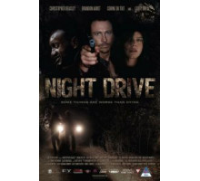 Ночной драйв (2010)