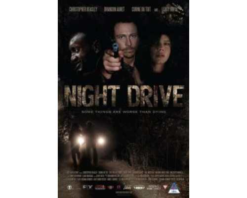 Ночной драйв  (фильм 2010) смотреть онлайн