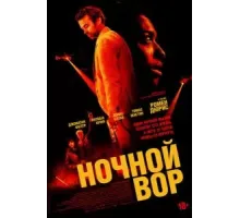 Ночной вор (2024)