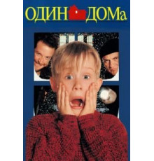 Один дома (1990)