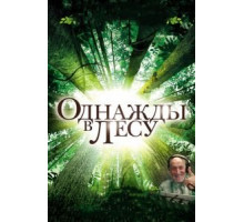 Однажды в лесу (2013)