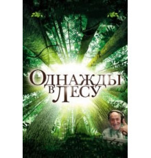 Однажды в лесу (2013)