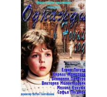 Однажды в Новый год (2011)