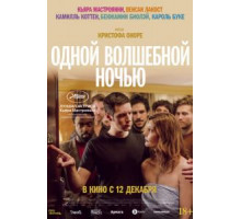 Одной волшебной ночью (2019)